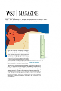 VLIV Communications Codex Beauty Press Placements Vliv Communications Client